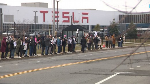 Elon Musk says backlash against his DOGE government cuts is hurting Tesla stock