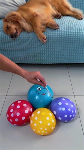 IMPOSSIBLE 🍷🗿 #freefire #garenafreefire #z9supra