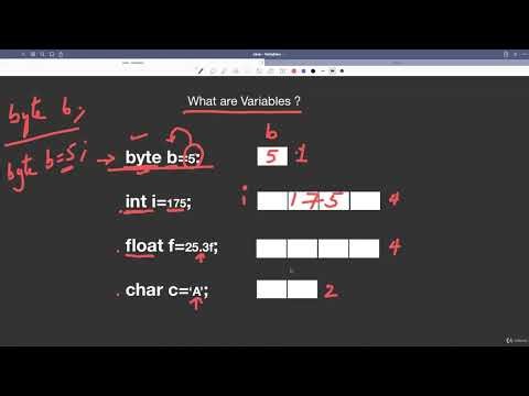 02. Data Types–Variables & Literals | Lecture 11 – What are Variables? | [Abdul Bari] Java Tutorial