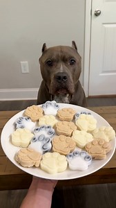 No bake 2 ingredient dog treats | My Dogs Dope