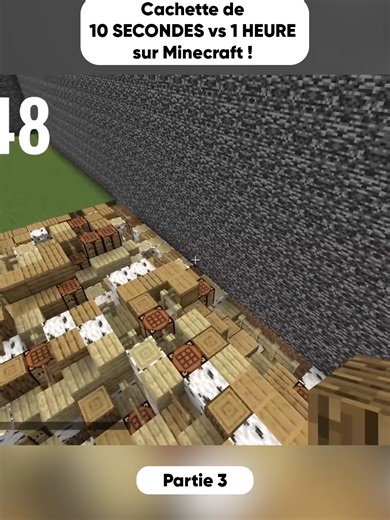 Cachette de 10 SECONDES vs 1 HEURE sur Minecraft ! Partie 3 ! #minecraftmemes #pourtoi #Multicort #humour
