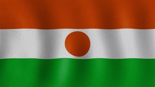 Niger Flag Africa Free Stock Video