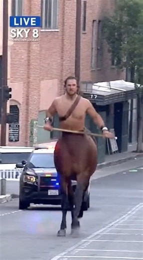 Heroes III in Real Life | Centaur Spotted Loose on Streets – LIVE! | AI Generated #heroes3 #homm3