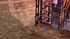 Winning Ladies Barrel Racing | Canadian Western Agribition