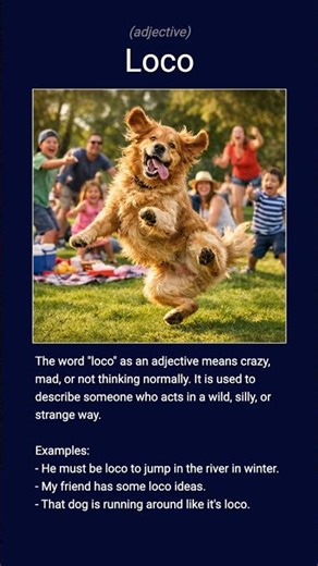 English word 'loco' adjective A2