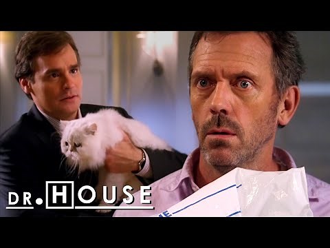Wilson se acerca a la FASE FINAL de ser un SOLTERÓN | Dr. House: Diagnóstico Médico