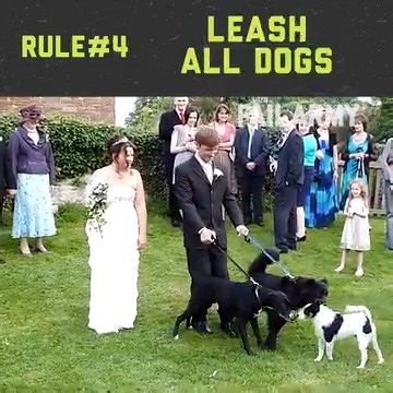Wedding Rules! | FailArmy