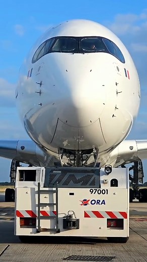 20K views · 327 reactions | Introducing: the A350 ✨✈️ Thanks to @.frenchbee for the video  #frenchbee #flywithme #flyfrenchbee #travel #travelwithme #avgeeks #aviationphotography | French bee | Facebook