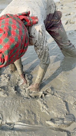 456K views · 1.2K reactions | amazing hand fish catching #fishing #viralfishing #villagelife | Fishing Sundarban BD | Facebook