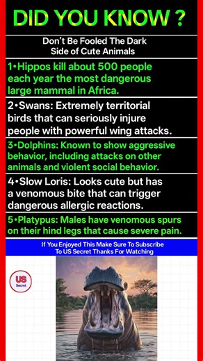 The Hidden Danger Behind These Friendly Animals