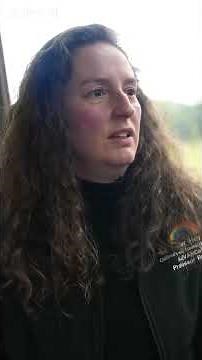 'Kids vaping before they're out of bed'