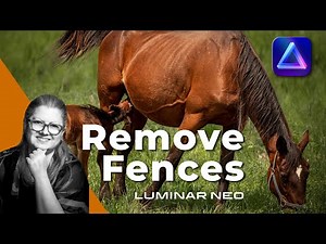 Clean Up Your Pet Photos - Remove Backgrounds in Luminar Neo