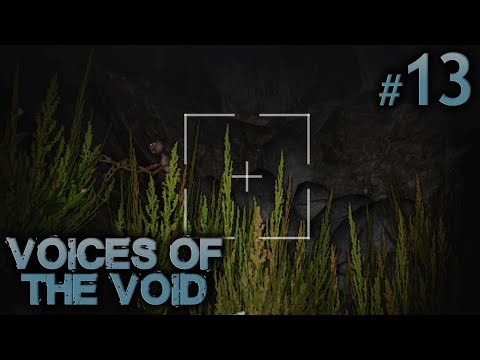 Voices of the Void S5 #13 - Dangerous Prospects