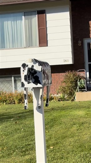 1.2K views | I MADE CHRIS TURN AROUND SO I COULD SHOW EVERYONE MY DREAM MOO BOX THANK YOU @gamestopher #cow | Hally Rackham | Facebook