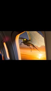 #nightmarefuel #terror #sleepparalysis #plane #planeviews | Miles Of Motions