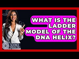 What Is The Ladder Model Of The DNA Helix? - Science Through Time