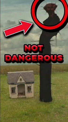 THE BOILED ONE IS NOT DANGEROUS? ANALOG HORROR THEORY