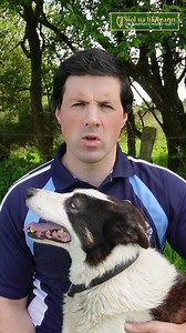 95K views · 2.3K reactions | Brazen Foreigner caught dumping rubbish from car (paid for by Irish Taxpayer - Strabane, Ireland. | Niall McConnell | Facebook