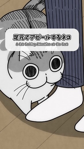 【夜は猫といっしょ】 「足元でアピールするネコ」本編はYouTubeにて配信中！プロフィール欄より👀 #夜は猫といっしょ #キュルガ #高垣彩陽 #日野聡 #種崎敦美 #悠木碧 #江口拓也#猫のいる暮らし #cat#cattiktok #anime #キュルガ可愛い #アニメ #アニメーション #猫のいる生活#猫可愛い #85