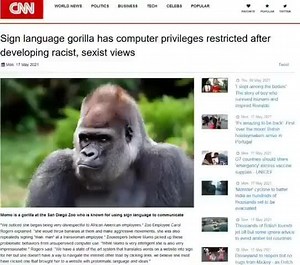 Sign language gorilla has computer privileges restricted after developing racist, sexist views ca - iFunny