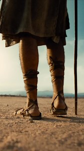 261K views · 10K reactions | HOUSE OF DAVID is an epic tale of...