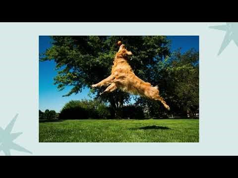 ADA Compliant Images