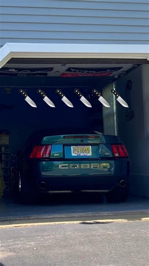 Waking Up The Cammed Cobra #svtcobra #terminator #svt #cammed #mustang #borla #coldstart #exhaust