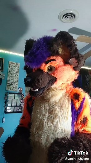 Understanding Murrsuiters and Their Struggle