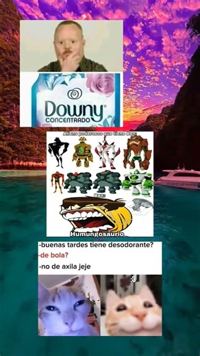 memes muy épicos 🤣