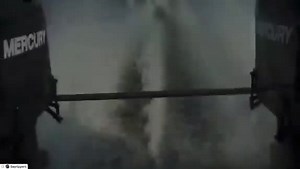 Custom Mercury 260 Engine Build by Diamond Marine Outboard