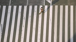 Slowmotion elevated view of Japanese people crossing a distinct lack of chaos as everyone follows the rules and stays within the designated pedestrian crossing zone with shadows of sunset light.