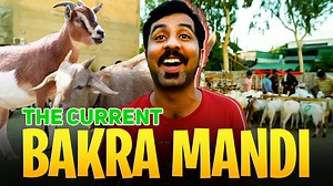Kya aap nay bakra rap suna hai? Lahore mein 7up pull kay paas bakra mandi mein kya scenes hain, bakron ka rate kya hai aur garmi kitni hai, hum aapko batatey hain. Subscribe to our YouTube channel here: https://bit.ly/SubscribeNowTheCurrent Visit our website: https://thecurrent.pk/ Like us on Facebook: https://web.facebook.com/thecurrentpk | The Current | Facebook