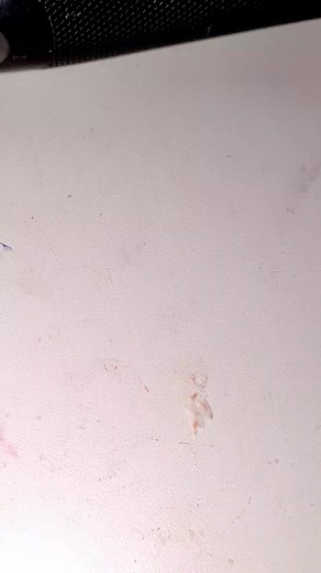 Hello Kitty Crafting Techniques with Heat Tool