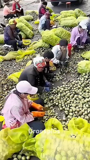 How are walnuts prepared | Relike vibes