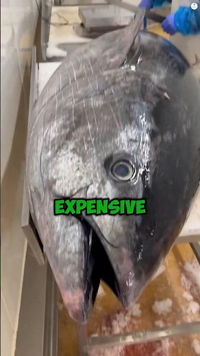 7 Fish Ranked from Cheapest to Healthiest (You NEED to Know This) #food #didyouknow #foodfacts