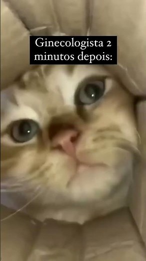 WHAT HAPPENS IN A DAY AT THE GYNECOLOGIST? CHECK IT OUT NOW