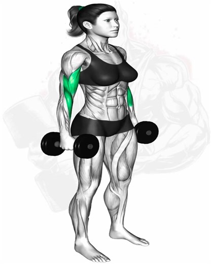 Brazos Fuertes Ejercicios Combinados para Potencia y Forma | Mundo músculos Rutinas