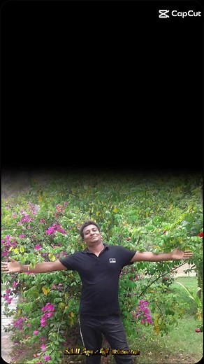 md deflower on TikTok