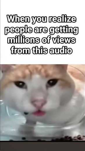 how does this work?🤔