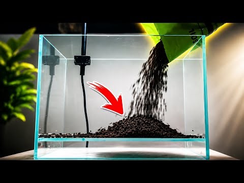 Starting a Natural Aquarium with Premium Soil