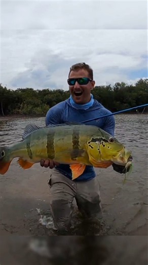 Amazon Fishing Trip!