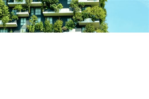 Ecology and Urban Engineering MSc