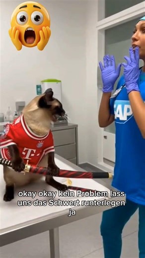 Bayern vs. Hoffenheim #Hoffenheim