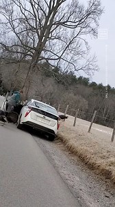 We know Thanksgiving is near, but maybe hold off on getting too close to the turkeys until Thursday — as this man in Townshend, TN, learned the hard way recently 🦃😅 | NowThis