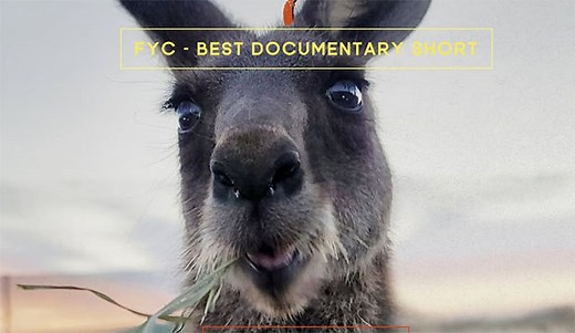 2025 Oscars Best Documentary Short cheat sheet: From ‘Chasing Roo’ to ‘Until He’s Back’