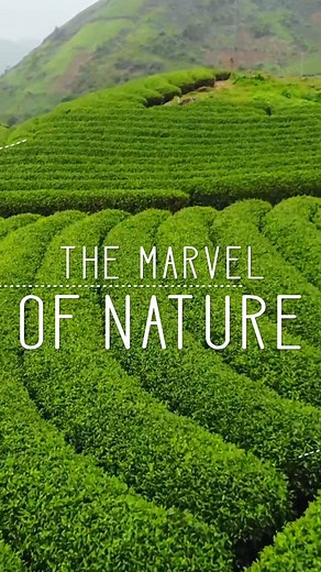 15 reactions | Create Marvel-lous Moments with freshly handpicked...