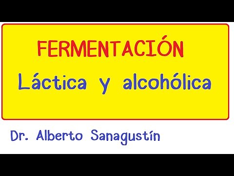 Fermentación Láctica y Alcohólica