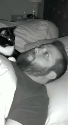 Cat discovers the manual OFF switch for snoring 😹 #catshorts #cat #funny #cute #pets #kitten