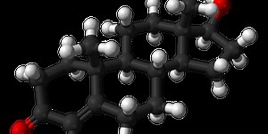 Small study suggests ibuprofen alters testosterone metabolism