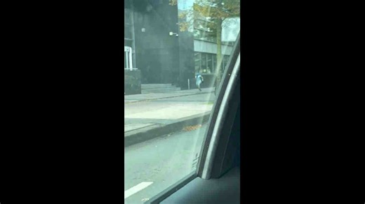 Walking robot spotted strolling through streets in The Hague, Netherlands